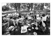 062115pillsarts087print