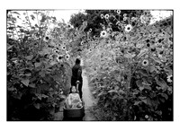 20182022film024print