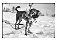 20182022film039print