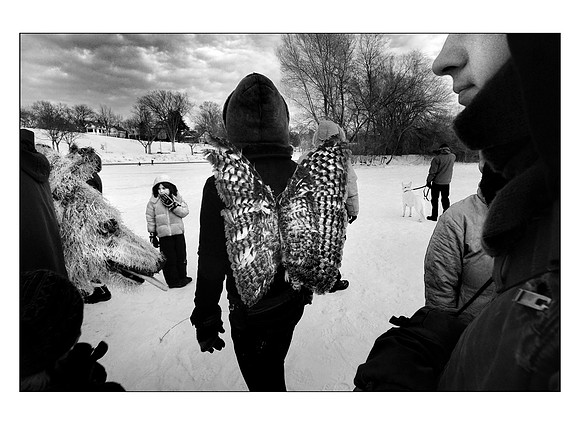 animal converge printx15