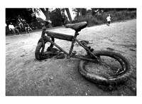 lakebikeprint