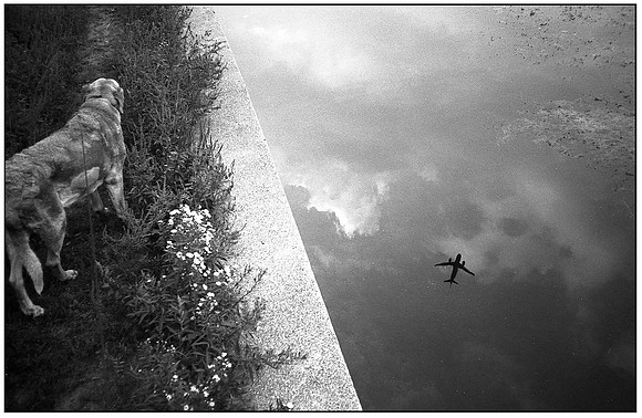 morningcomtepostcard